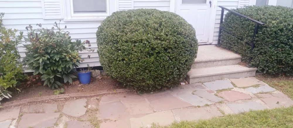 Local landscape installation in Woburn, MA - Grace Lawn Care