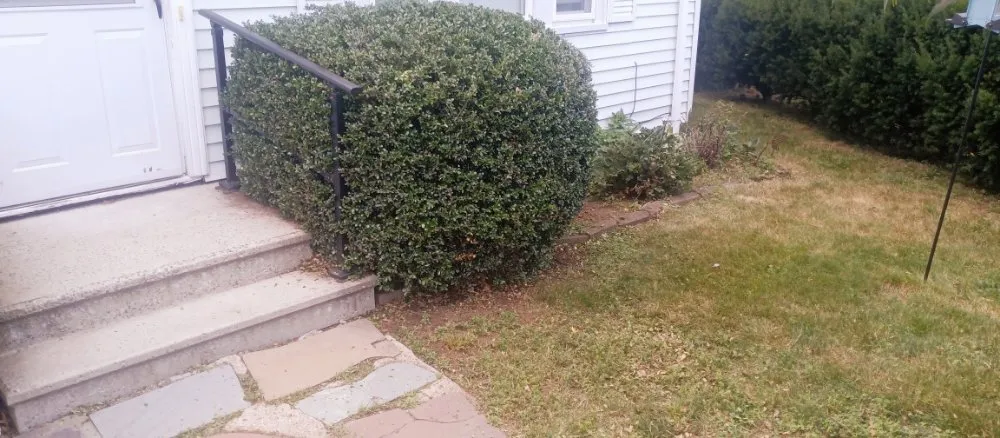 Trusted lawn care service experts serving Woburn, MA - Grace Lawn Care