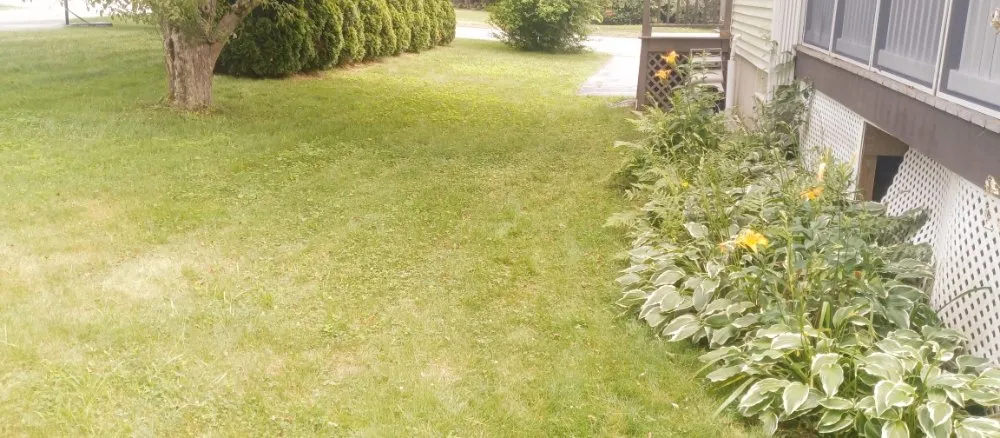 Affordable landscape design for year-round maintenance across Woburn, MA - Grace Lawn Care