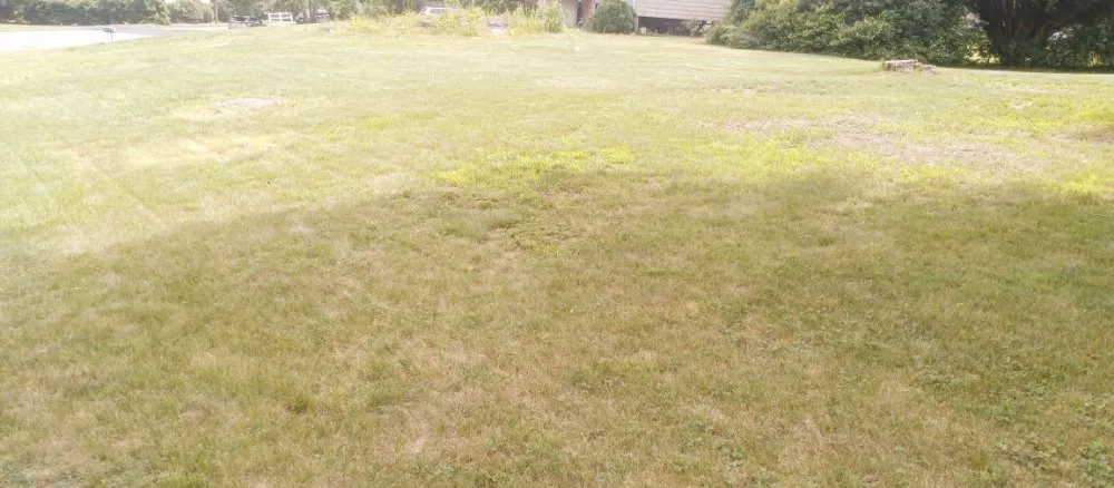 Expert lawn care service in Woburn, MA by Grace Lawn Care