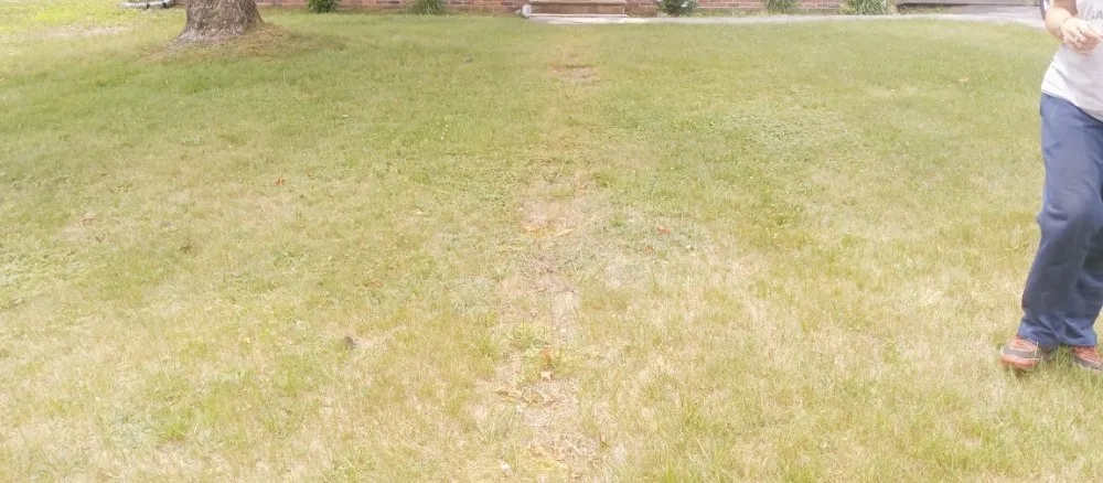 Local landscaping services in Woburn, MA by Grace Lawn Care