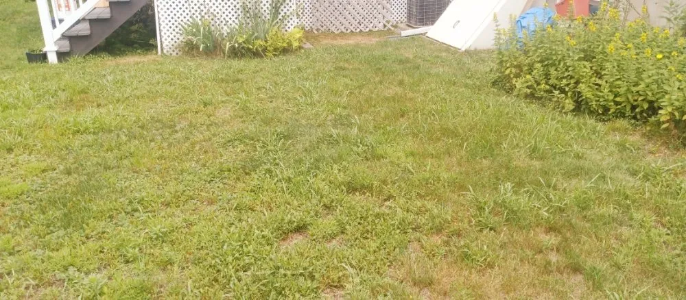 Expert landscape design experts serving Woburn, MA - Grace Lawn Care