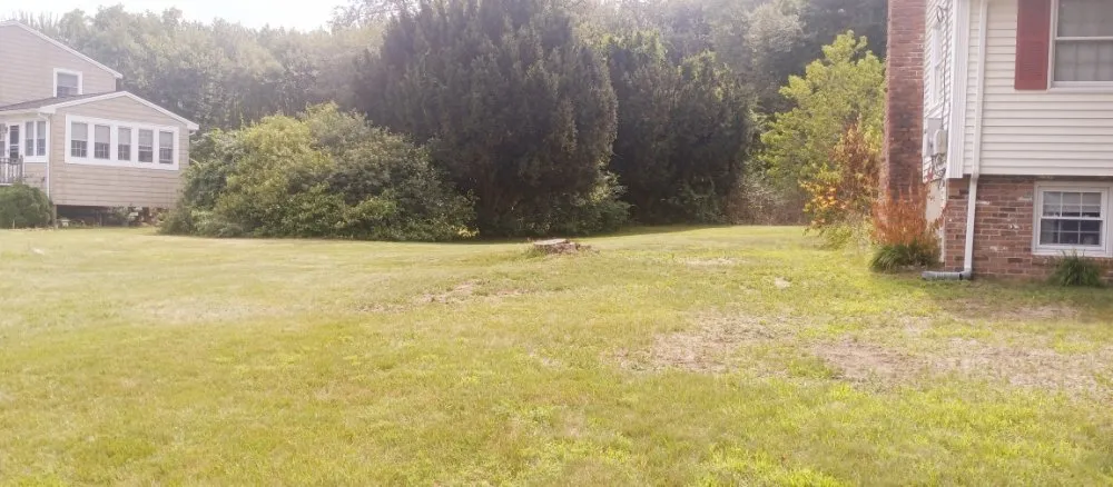 Reliable lawn mowing service in Woburn, MA by Grace Lawn Care