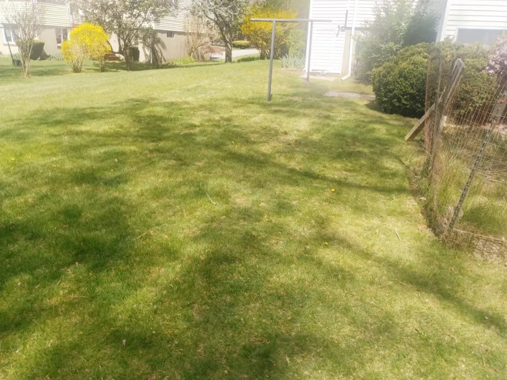 Custom lawn mowing service near you across Woburn, MA - Grace Lawn Care