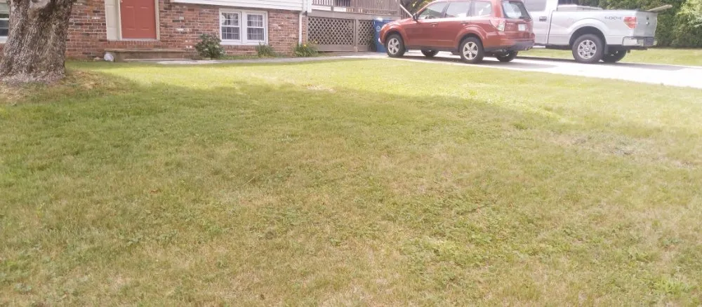 Local lawn mowing service for outdoor upgrades in Woburn, MA by Grace Lawn Care