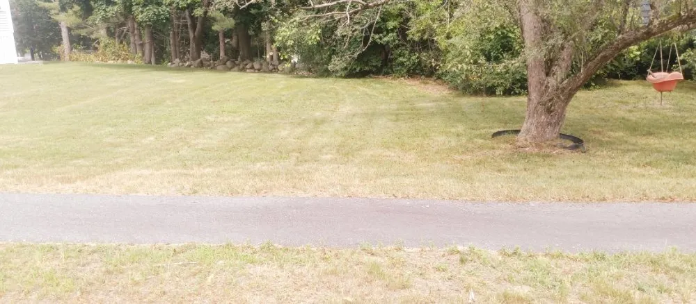 Top-rated lawn care service for homes across Woburn, MA - Grace Lawn Care