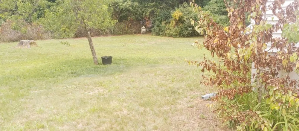 Professional lawn care service in Woburn, MA by Grace Lawn Care