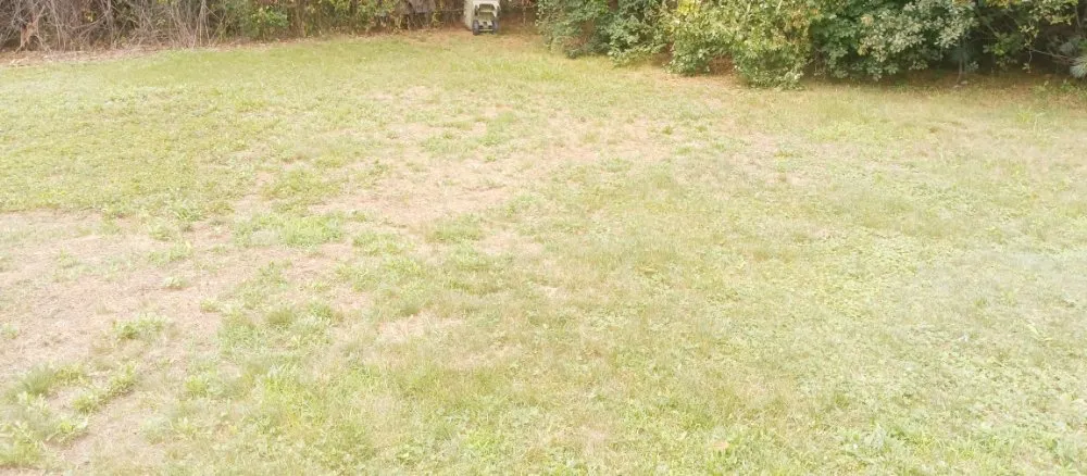 Reliable yard cleanup service experts serving Woburn, MA - Grace Lawn Care