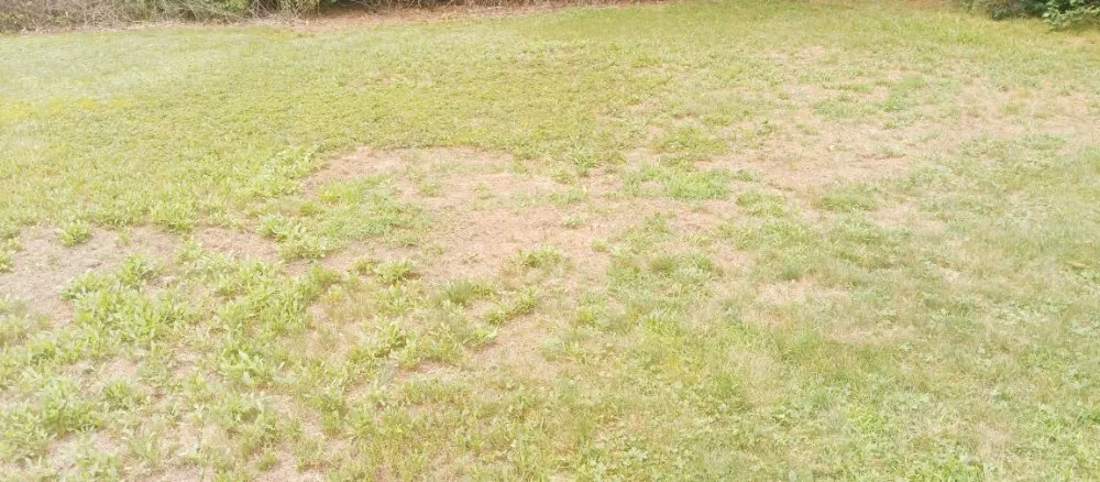 Reliable garden landscaping experts serving Woburn, MA - Grace Lawn Care