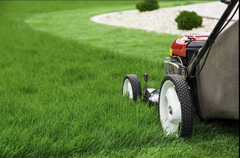 Custom lawn care service in Tobyhanna, PA - Grace Lawn Restore