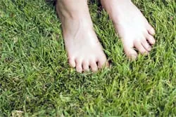 Professional landscape installation near you in Jacksonville, FL by Grace Lawn Service