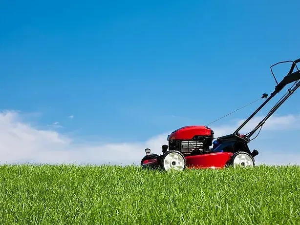 Top-rated garden landscaping for homes across Ridgeville, SC - Graceful Lawn Care