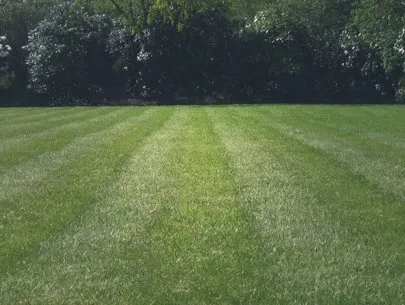 Affordable yard cleanup service for residential properties across Ridgeville, SC - Graceful Lawn Care