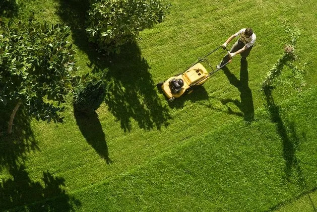 Affordable lawn care service for beautiful yards across Ridgeville, SC - Graceful Lawn Care