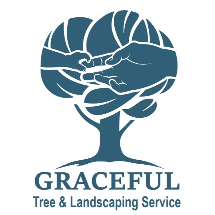 Expert landscaping services for residential properties across Fairfax, VA - Graceful Tree and Landscape