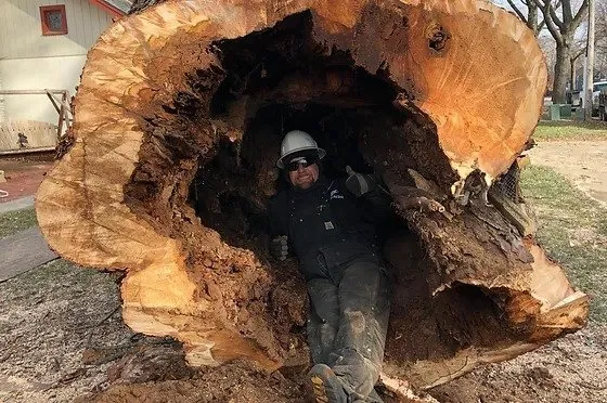 Professional landscape design for residential properties in Fairfax, VA by Graceful Tree and Landscape