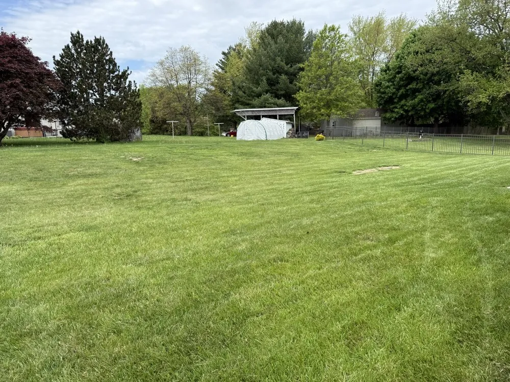 Affordable yard cleanup service for year-round maintenance across Lancaster, PA - Gracefulcuts