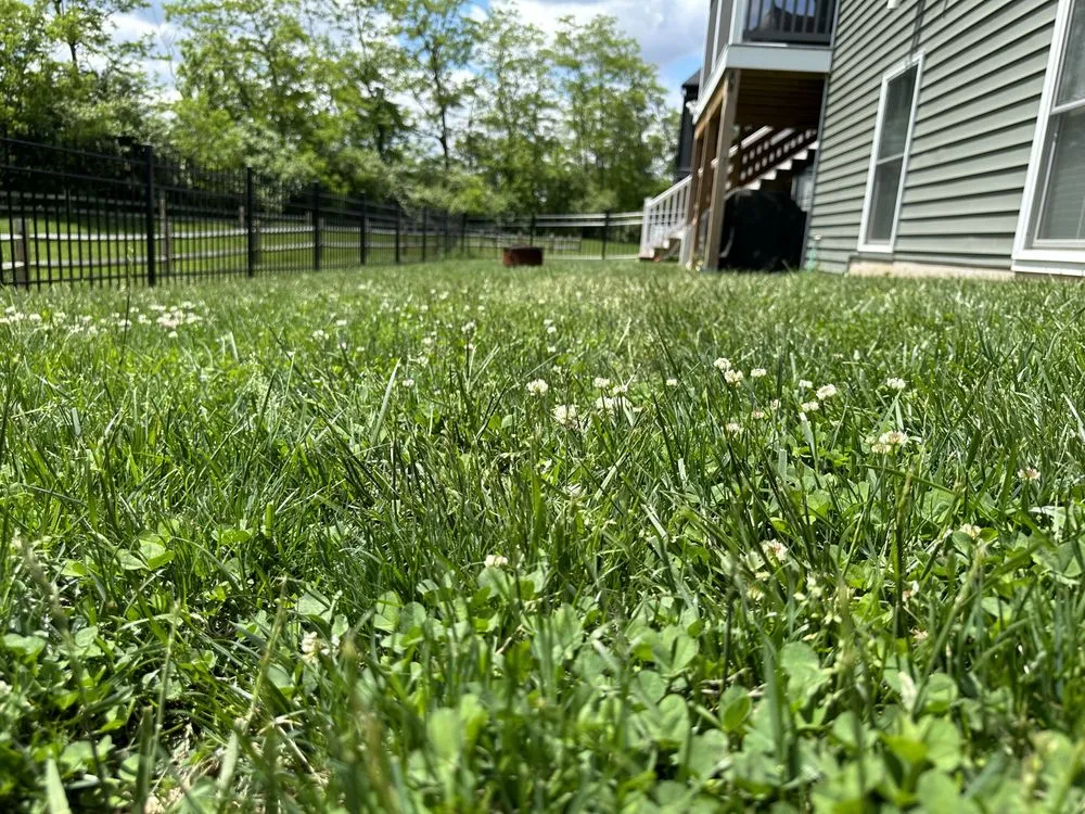 Trusted landscape installation in Lancaster, PA - Gracefulcuts