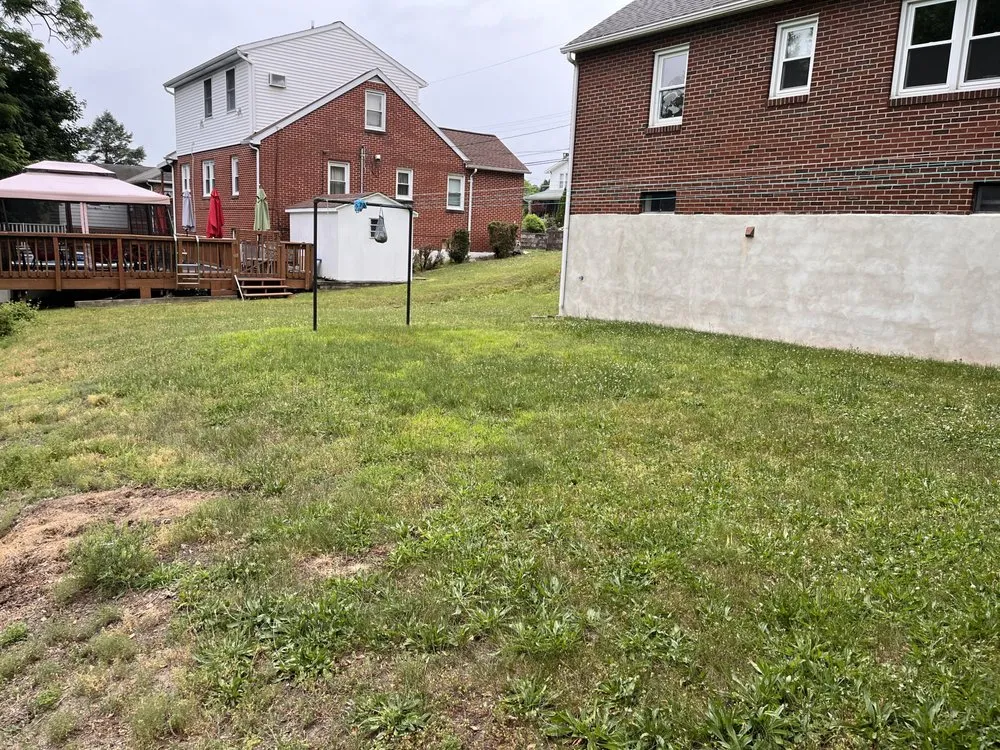 Expert yard cleanup service experts serving Lancaster, PA - Gracefulcuts