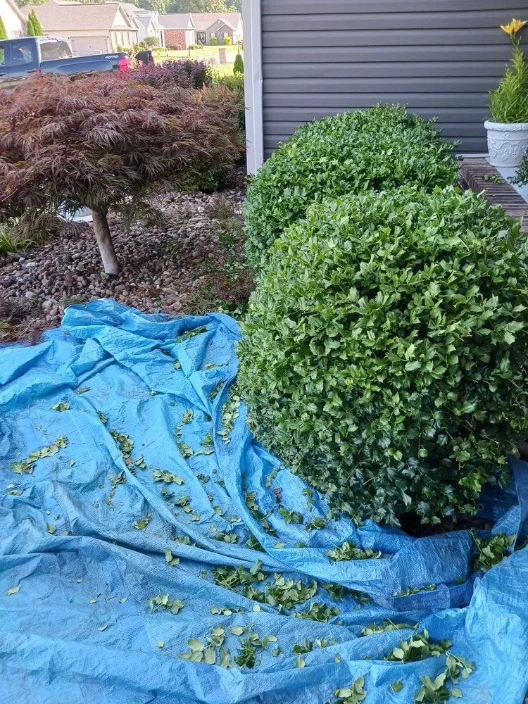 Custom residential landscaping in Madisonville, KY by Gracefull Grinds