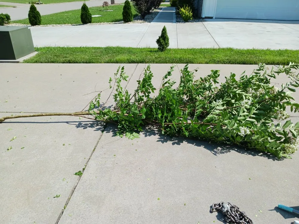 Reliable residential landscaping with custom design across Madisonville, KY - Gracefull Grinds