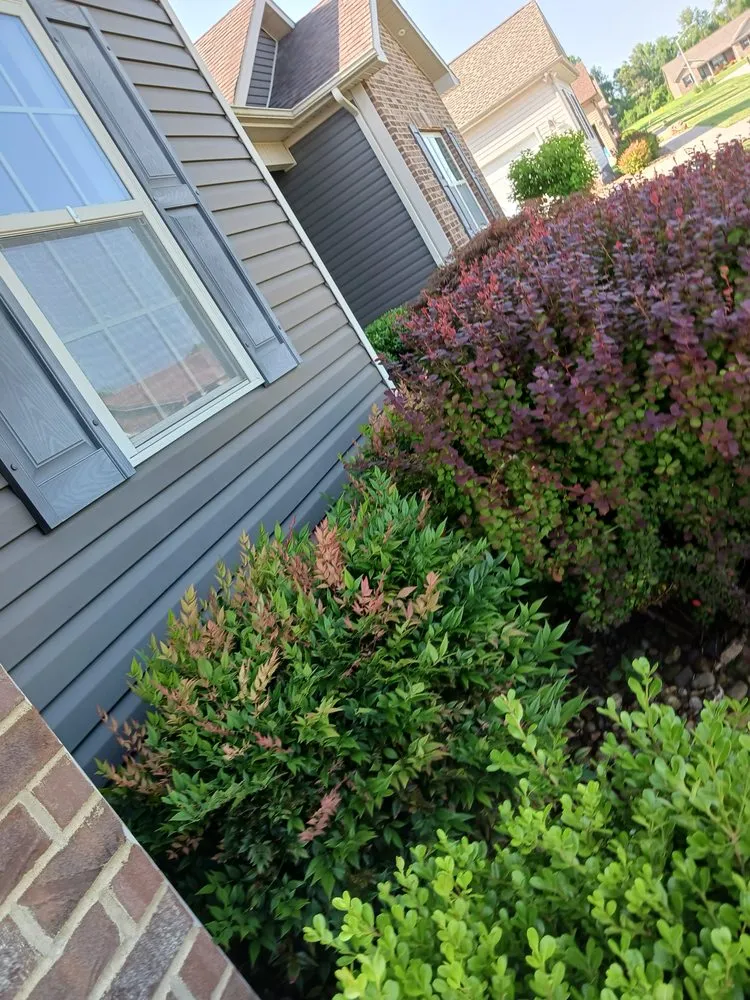 Expert yard cleanup service in Madisonville, KY by Gracefull Grinds