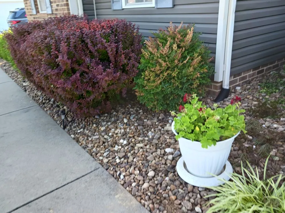 Custom landscape installation for residential properties across Madisonville, KY - Gracefull Grinds