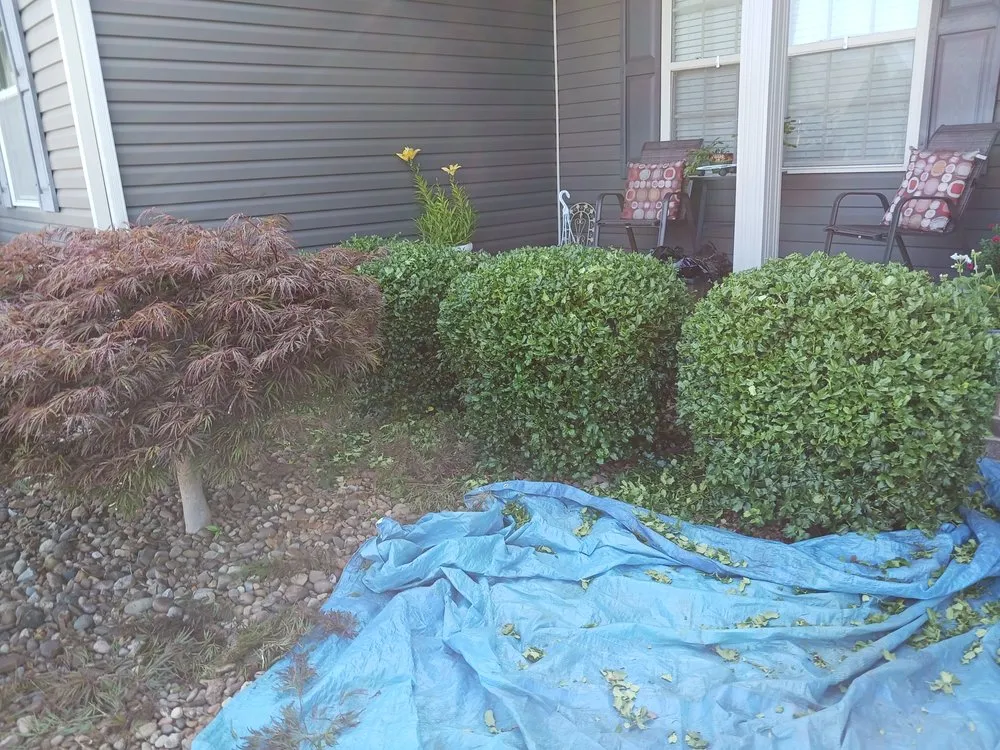 Trusted landscape installation for residential properties in Madisonville, KY by Gracefull Grinds