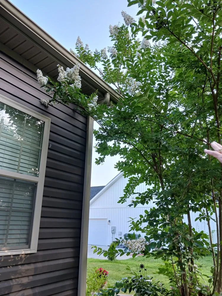 Professional outdoor landscaping experts serving Madisonville, KY - Gracefull Grinds