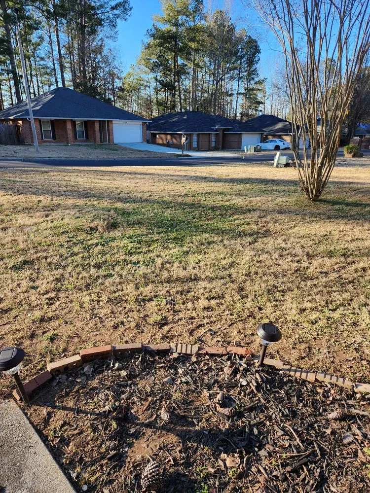 Top-rated garden landscaping near you across Dallas, GA - Graceland Landscaping