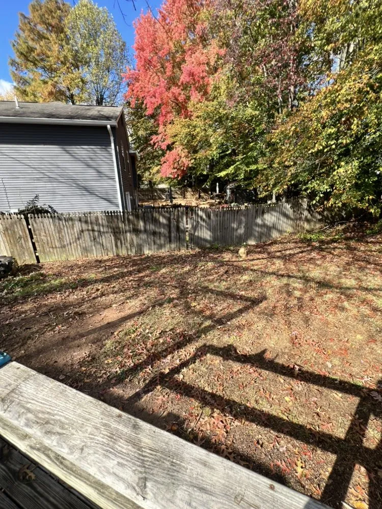 Professional residential landscaping for year-round maintenance in Maryland City, MD by Graceline Solutions