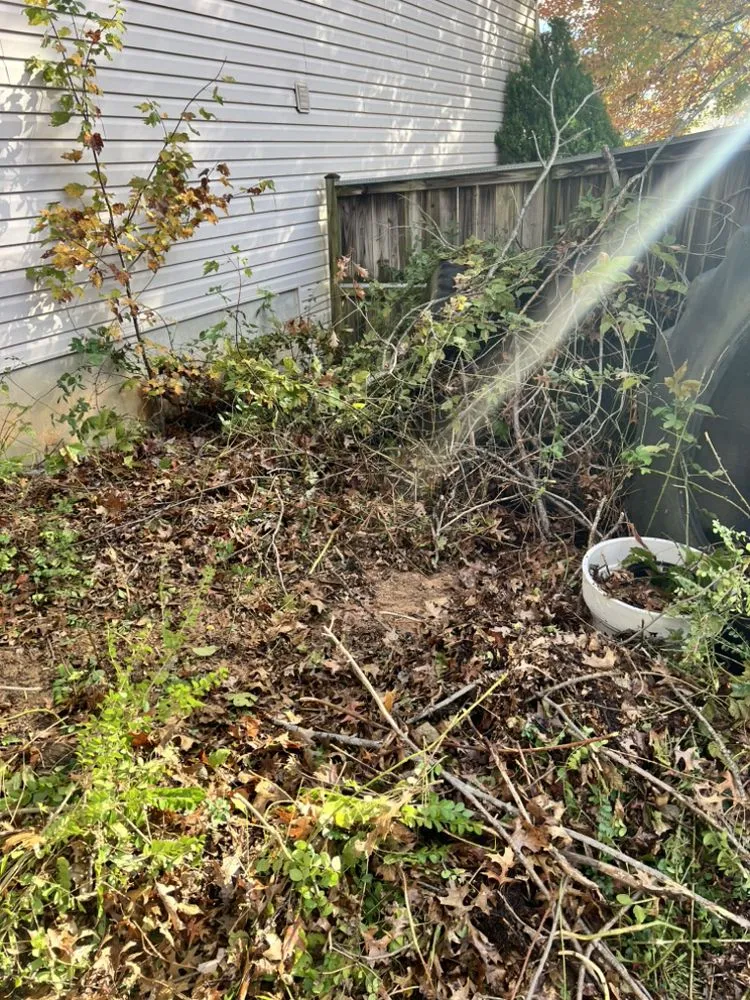 Local garden landscaping experts serving Maryland City, MD - Graceline Solutions