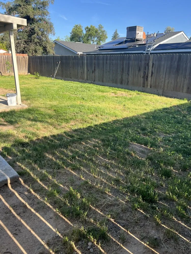 Local yard cleanup service experts serving Fresno, CA - Graces Gardening Guys