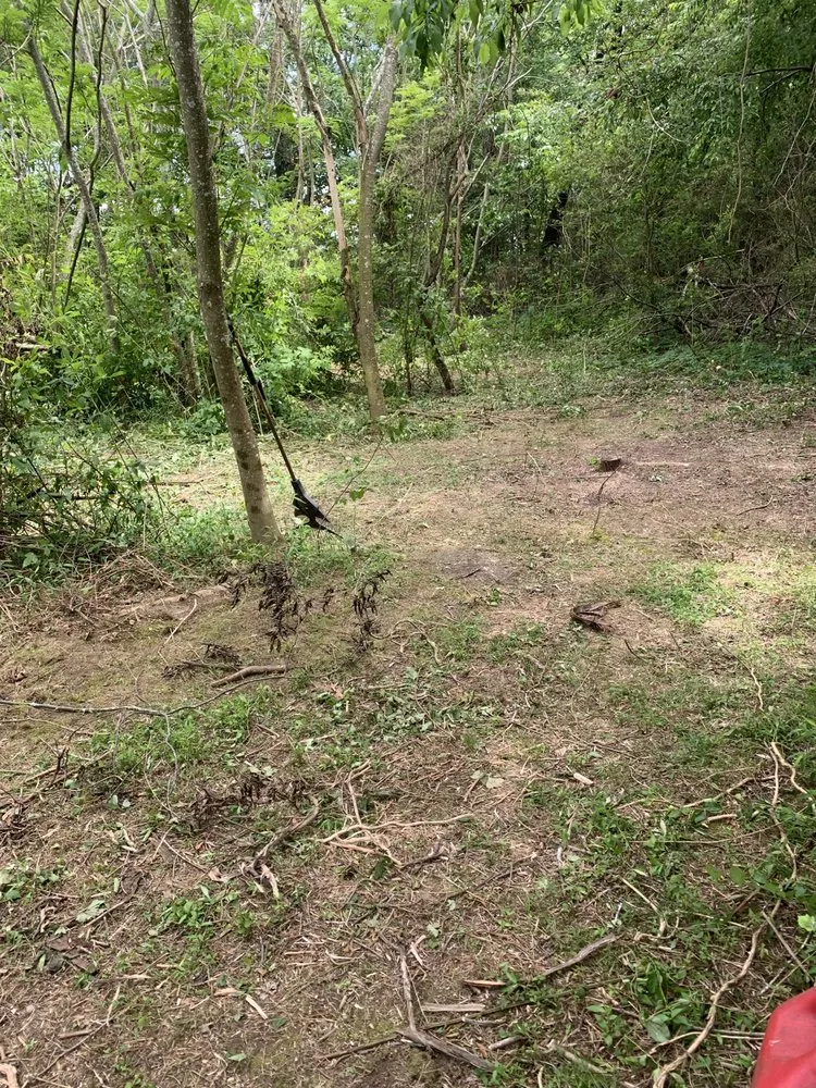 Local yard maintenance for year-round maintenance in Middle Valley, TN by Graces Lawn Care