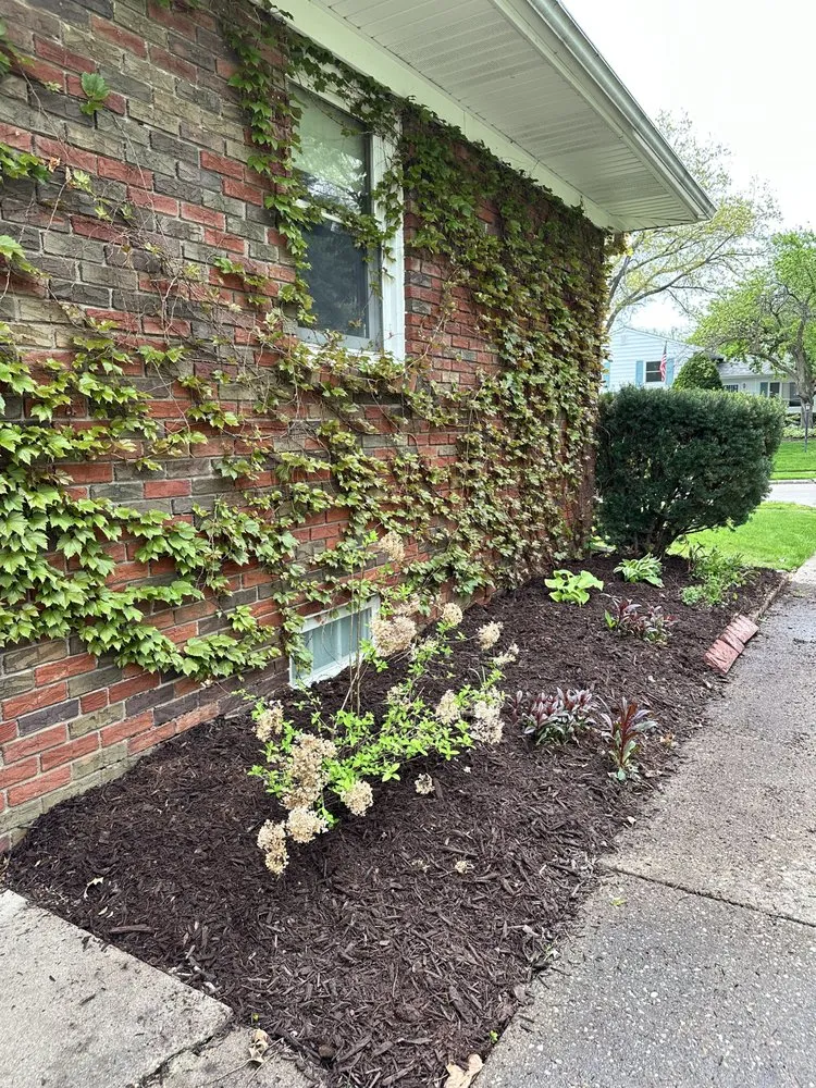 Local landscaping services in Davenport, IA - Grace’s Lawncare & Services