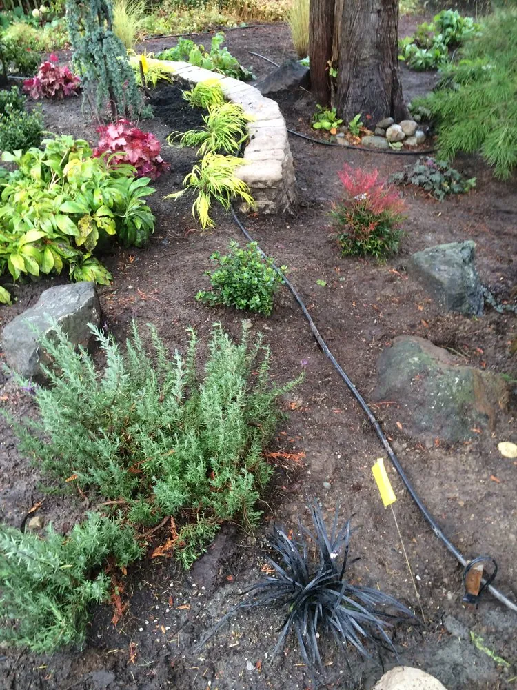 Trusted landscape installation in Kingston, WA by Gracey Landscape & Hydroseeding