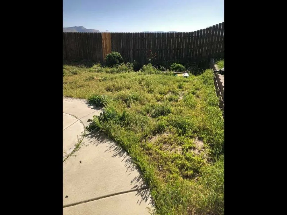 Local outdoor landscaping for beautiful yards in Tehachapi, CA by Graciano Gardening