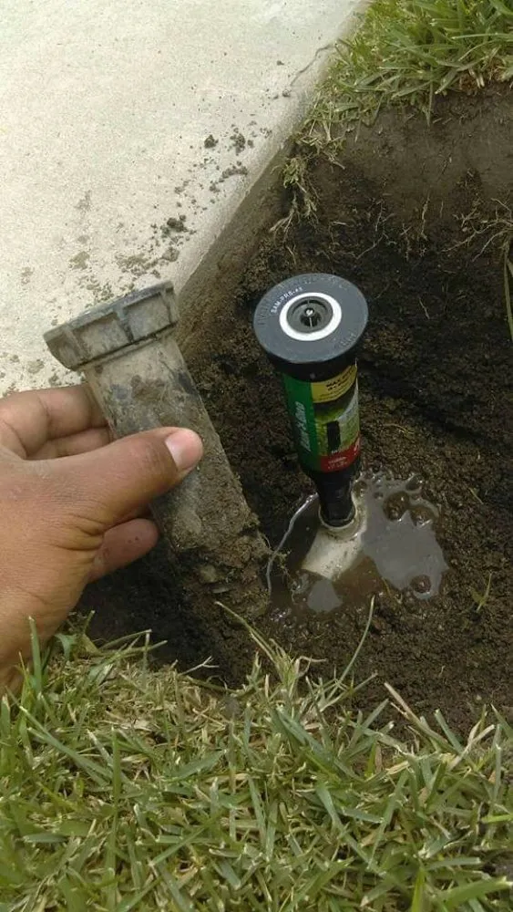 Custom landscaping services experts serving Tehachapi, CA - Graciano Gardening