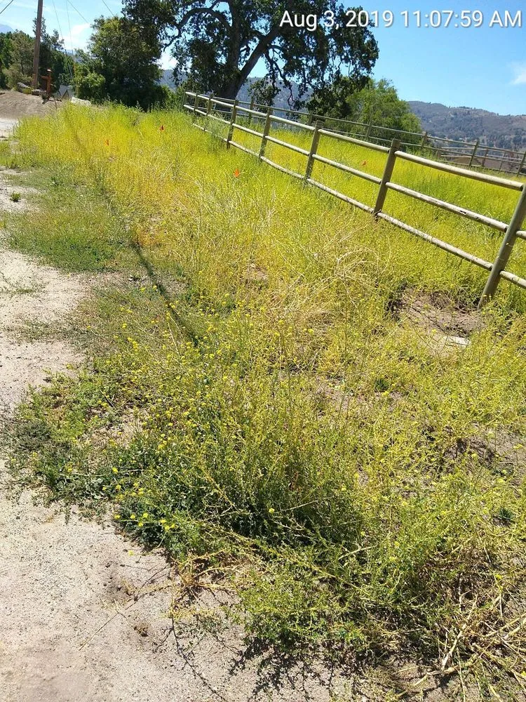 Local garden landscaping for year-round maintenance in Tehachapi, CA by Graciano Gardening