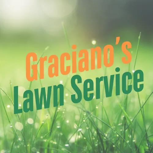 Top-rated outdoor landscaping in Brenham, TX - Graciano's Lawn Service