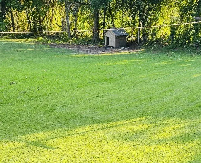 Affordable landscape design for year-round maintenance across Brenham, TX - Graciano's Lawn Service