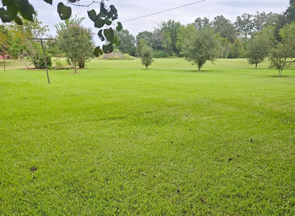 Local yard maintenance in Brenham, TX by Graciano's Lawn Service