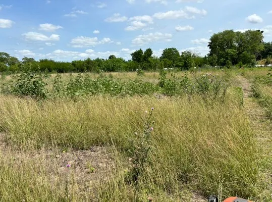 Gracias’ Lawn Service