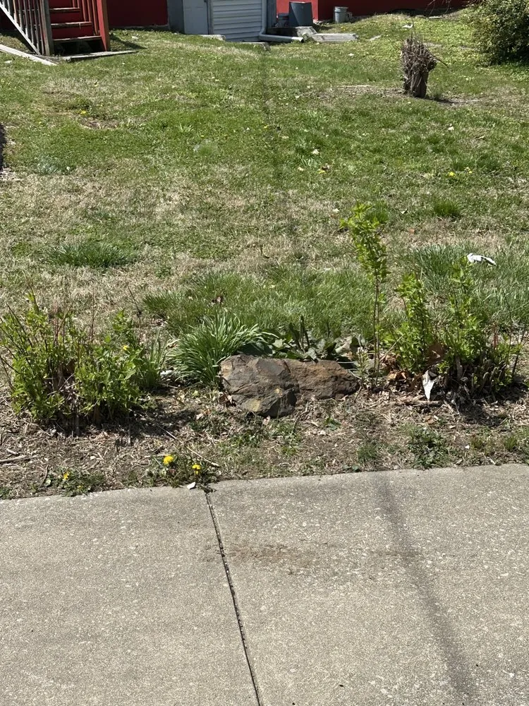 Local yard cleanup service in Upper Darby, PA - Gracie’s Property Maintence