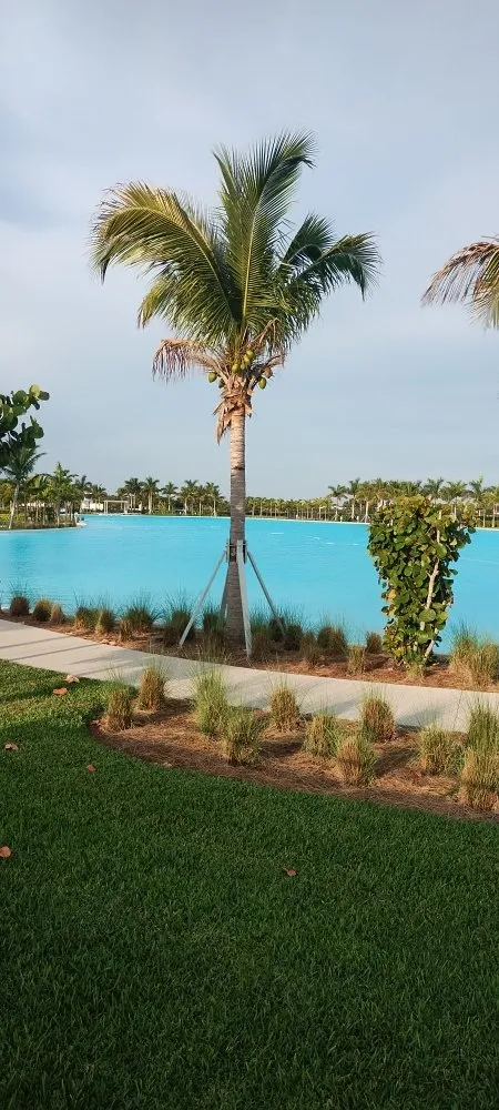 Custom outdoor landscaping with custom design across Bradenton, FL - Gracious Greens Landscape & Maintenance