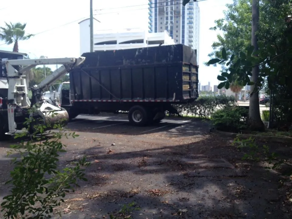 Professional landscape design experts serving West Park, FL - Gradall Bobcat & Landscaping