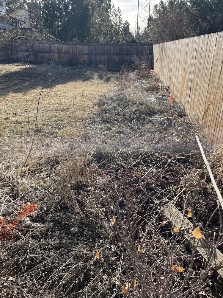 Local lawn care service in Northglenn, CO - Grade A Excavation & Landscape