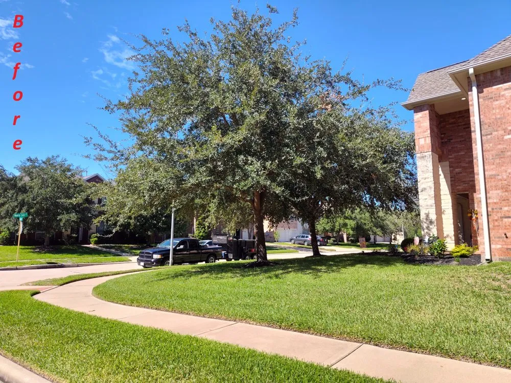 Custom lawn mowing service for beautiful yards across Katy, TX - Grade A Grass Lawn Care