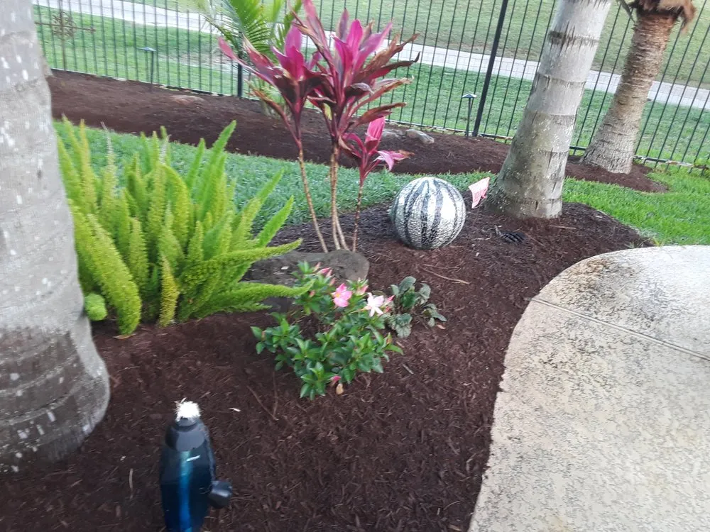 Professional yard maintenance for homes across Katy, TX - Grade A Grass Lawn Care