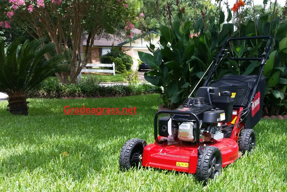 Expert landscaping services experts serving Katy, TX - Grade A Grass Lawn Care